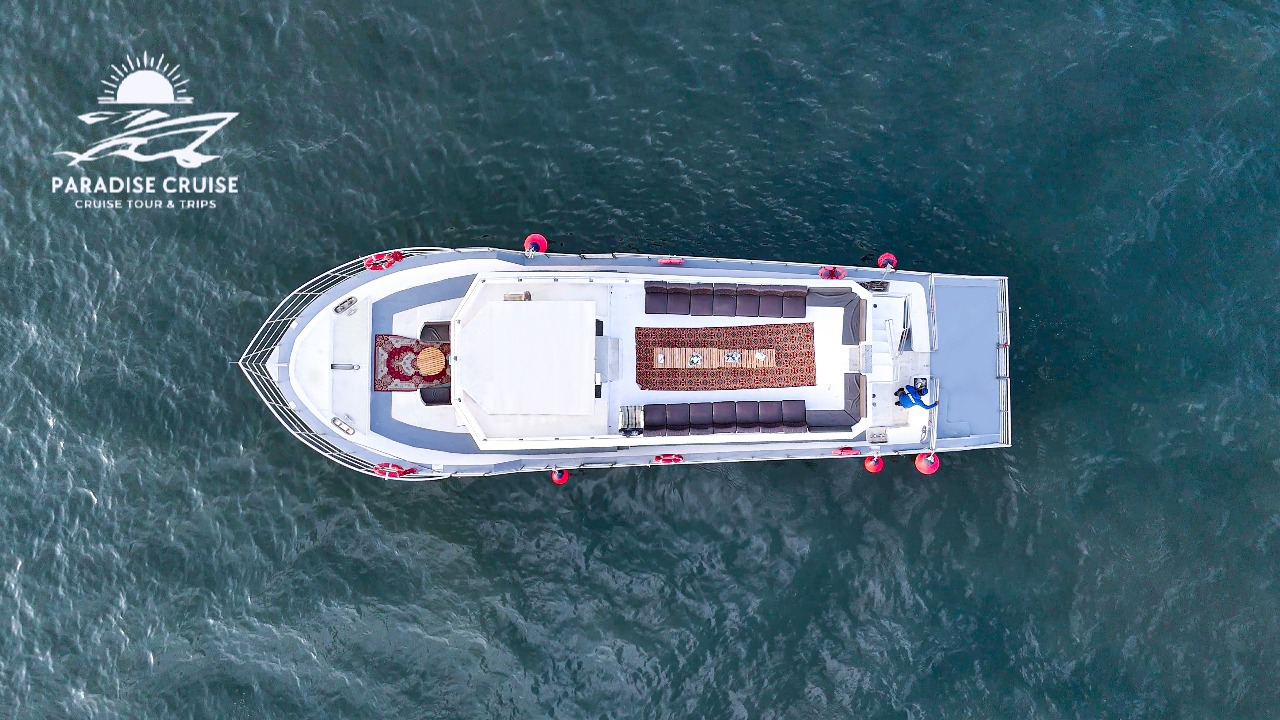 Pearl Cruise interior view